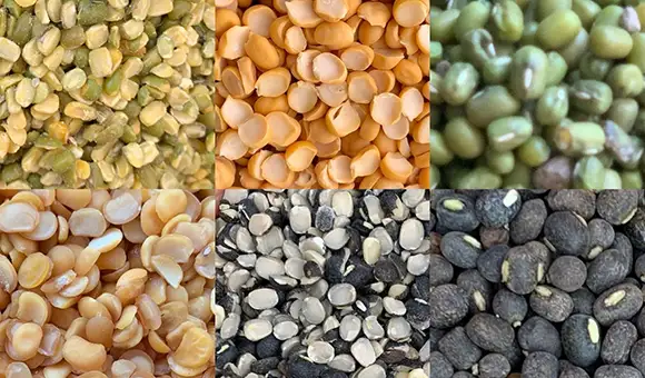 Products pulses2