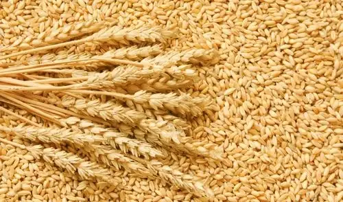 Products wheat